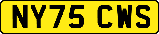 NY75CWS