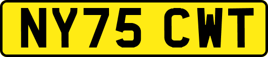 NY75CWT