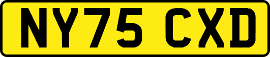 NY75CXD
