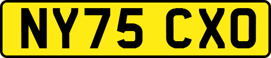 NY75CXO