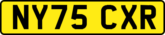 NY75CXR