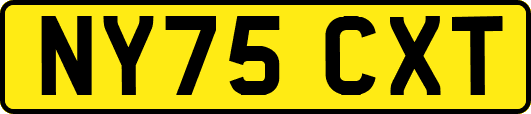 NY75CXT