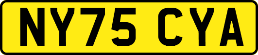 NY75CYA