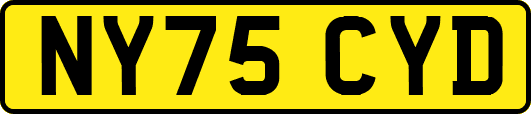 NY75CYD