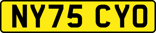 NY75CYO