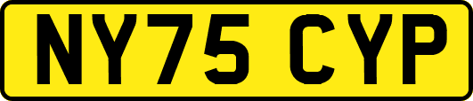 NY75CYP