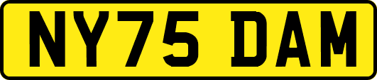 NY75DAM