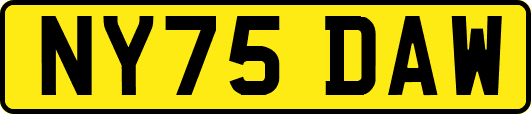 NY75DAW