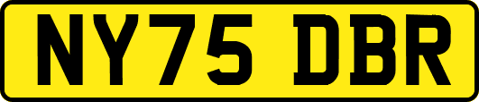 NY75DBR