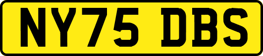 NY75DBS
