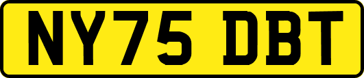 NY75DBT