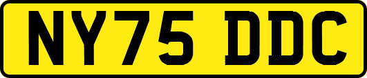 NY75DDC