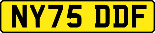 NY75DDF