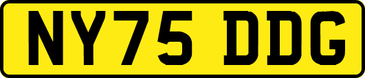 NY75DDG