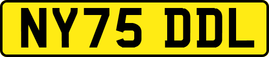 NY75DDL