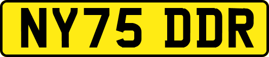 NY75DDR