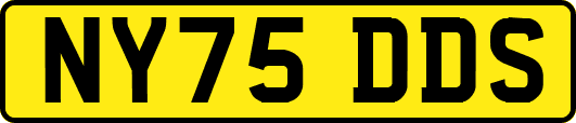 NY75DDS