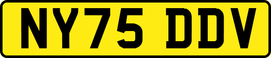 NY75DDV