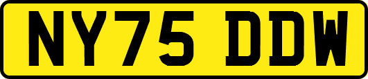 NY75DDW
