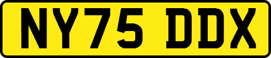NY75DDX