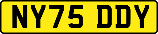 NY75DDY