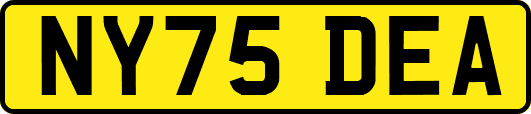 NY75DEA