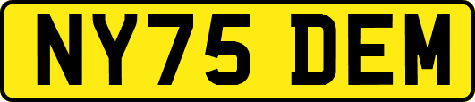 NY75DEM