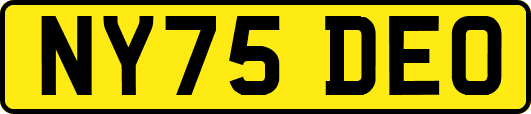 NY75DEO