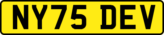 NY75DEV