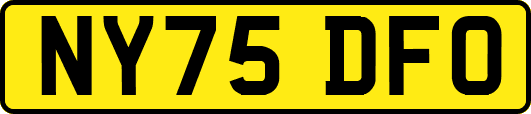 NY75DFO