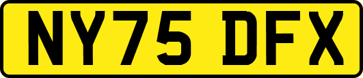 NY75DFX