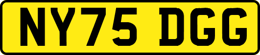 NY75DGG