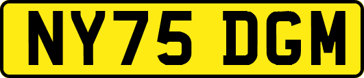 NY75DGM