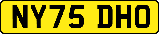 NY75DHO