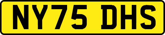 NY75DHS