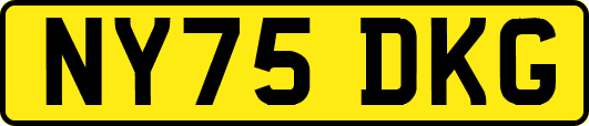 NY75DKG
