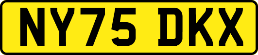 NY75DKX