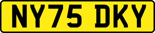 NY75DKY
