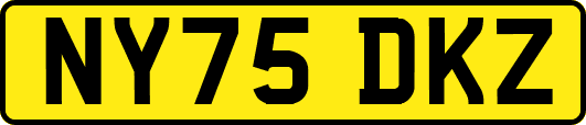 NY75DKZ