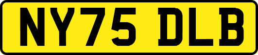 NY75DLB