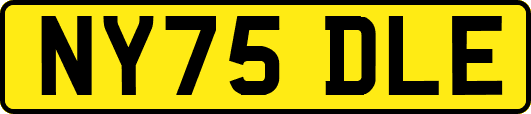 NY75DLE