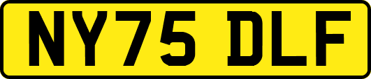 NY75DLF
