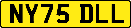 NY75DLL