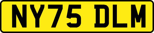 NY75DLM