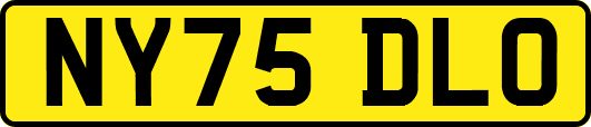 NY75DLO