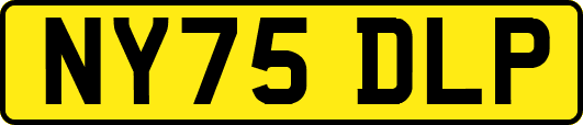 NY75DLP