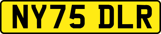 NY75DLR