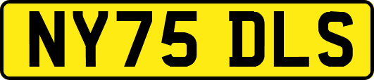 NY75DLS