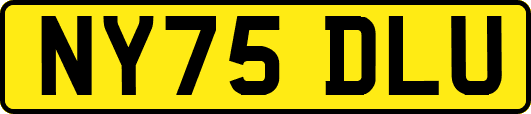 NY75DLU