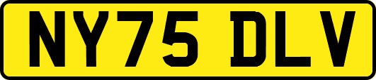NY75DLV